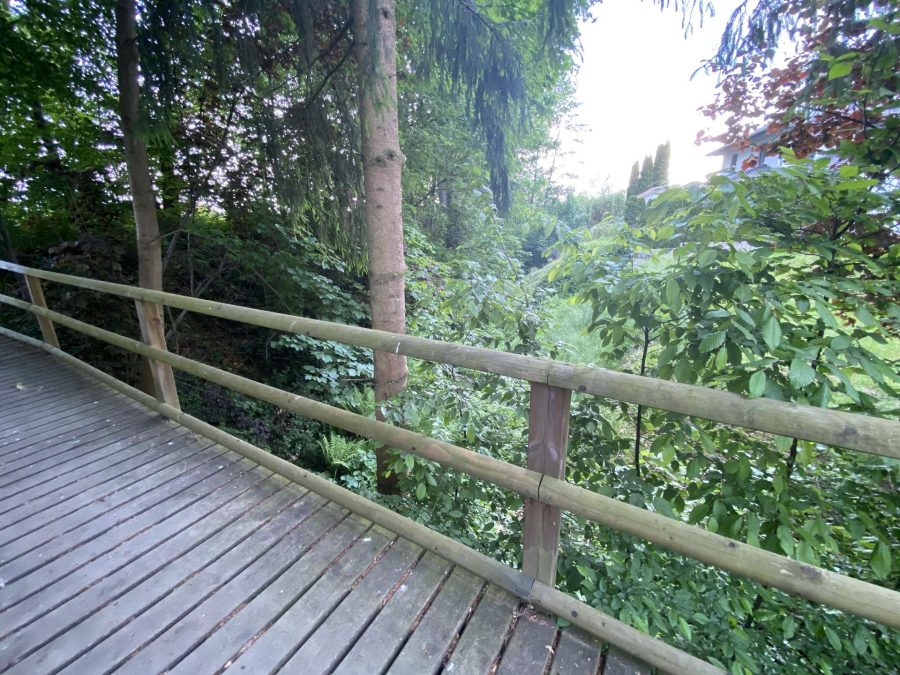 Foto 07.06.21, 18 38 04